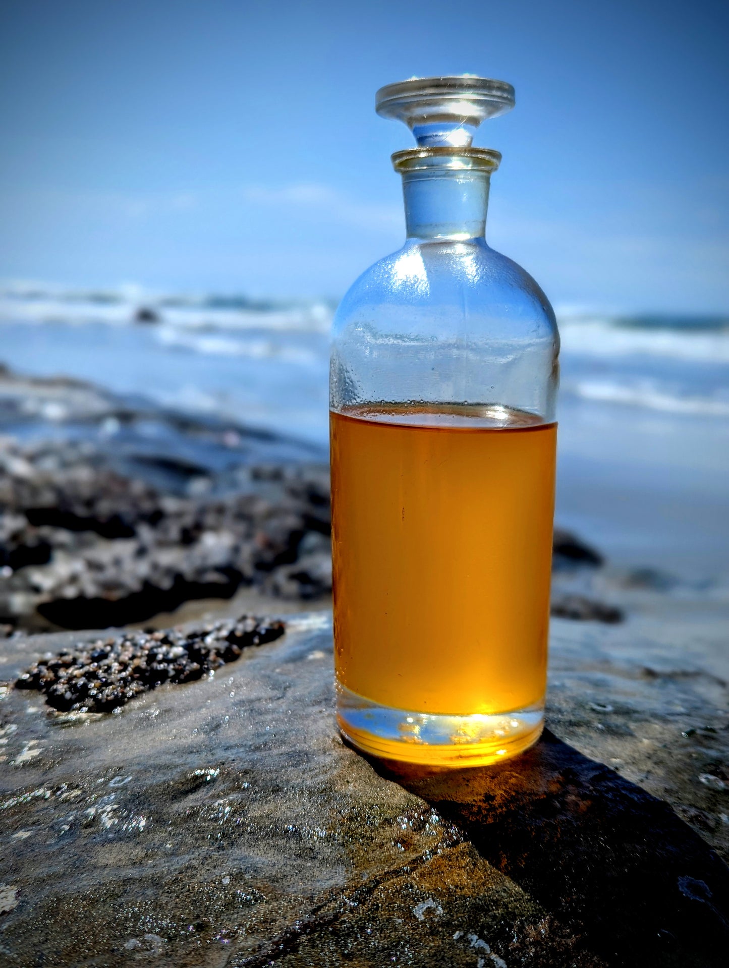 Siren Serum for Daytime Skincare Ritual itual
