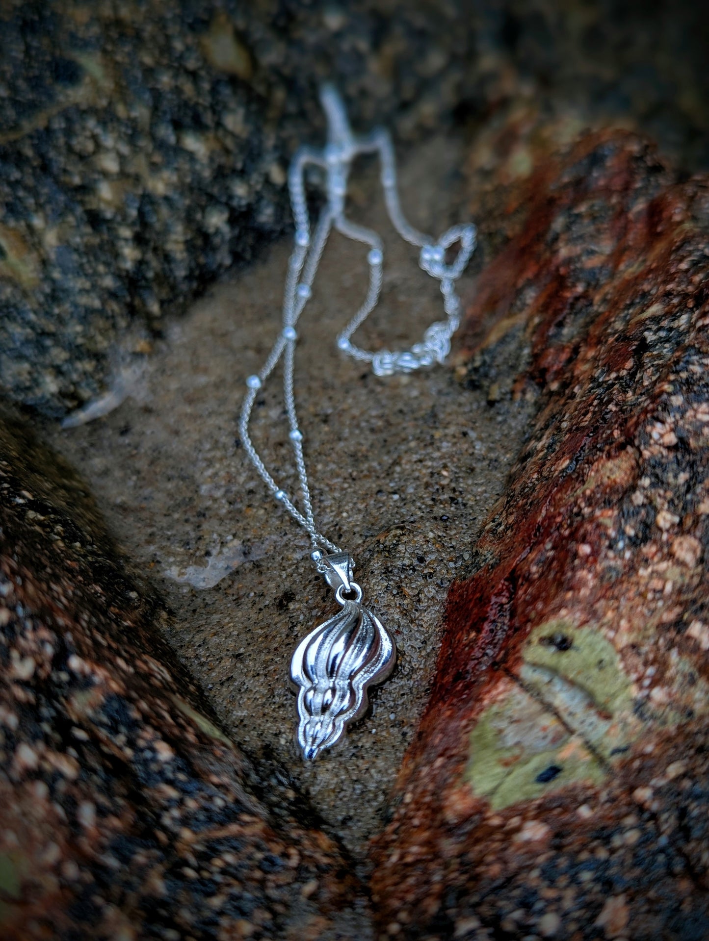 Sterling Silver Seashell Necklace