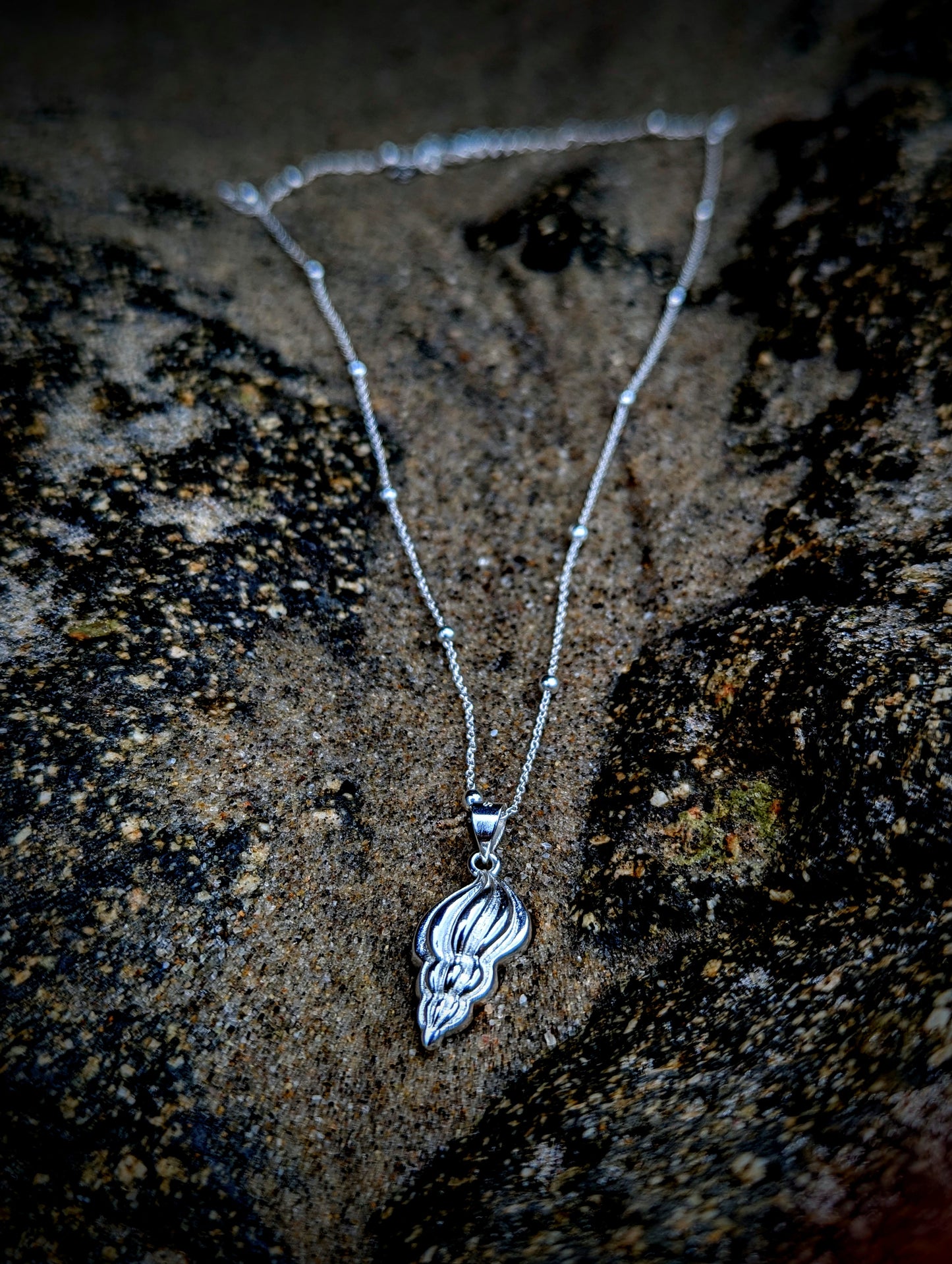Sterling Silver Seashell Necklace
