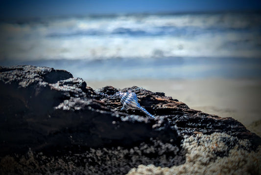 Sterling Silver Long Seashell Necklace